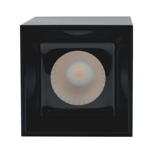 15W juodas akcentinio apšvietimo LED šviestuvas TANGA